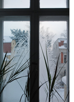 Blick aus dem Fenster Deines Zimmers, November2010